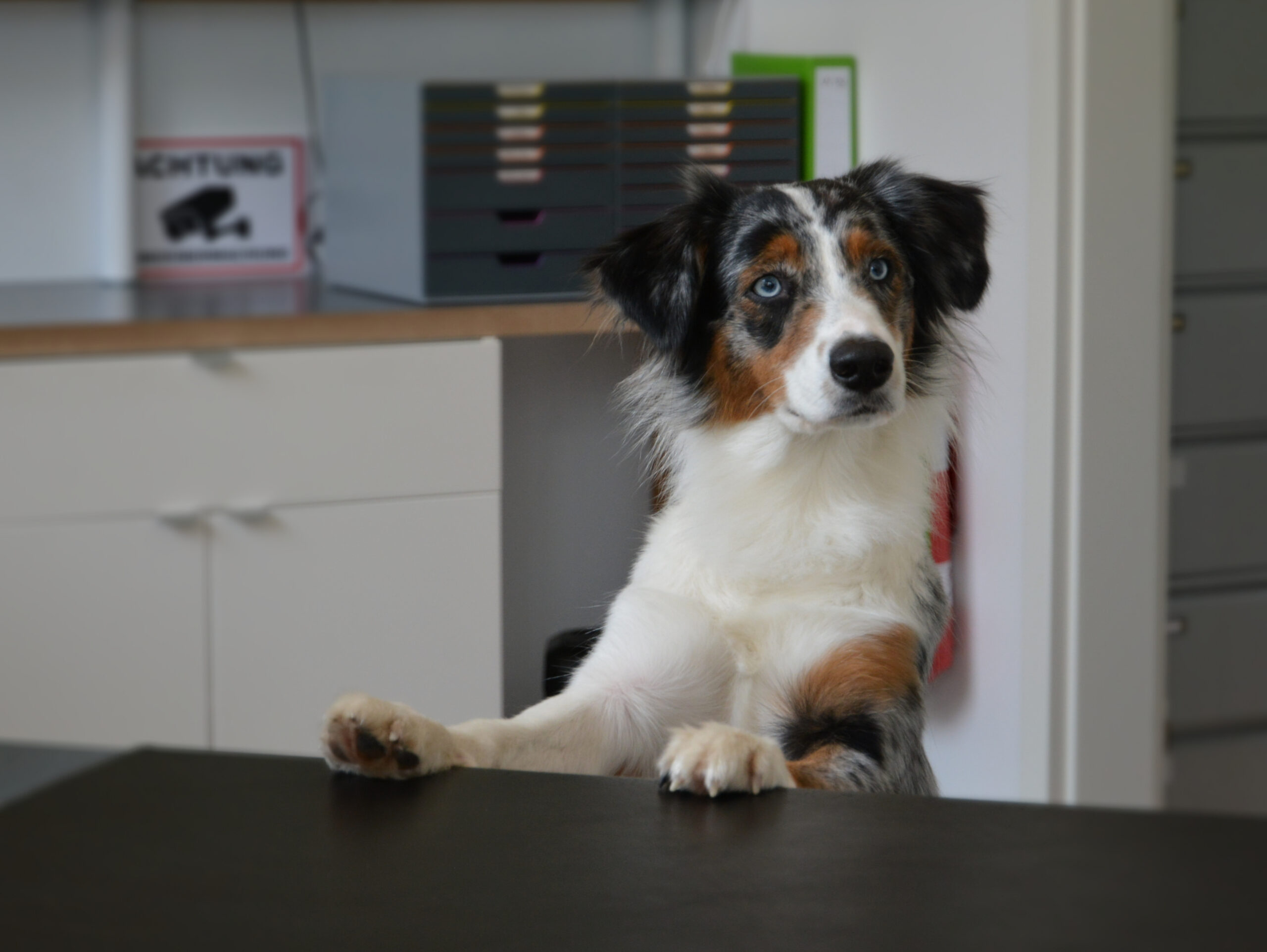 052305_2025-11-10_14-46-03_83